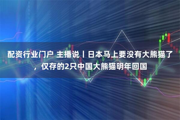 配资行业门户 主播说丨日本马上要没有大熊猫了,仅存的2只中国大熊猫明年回国